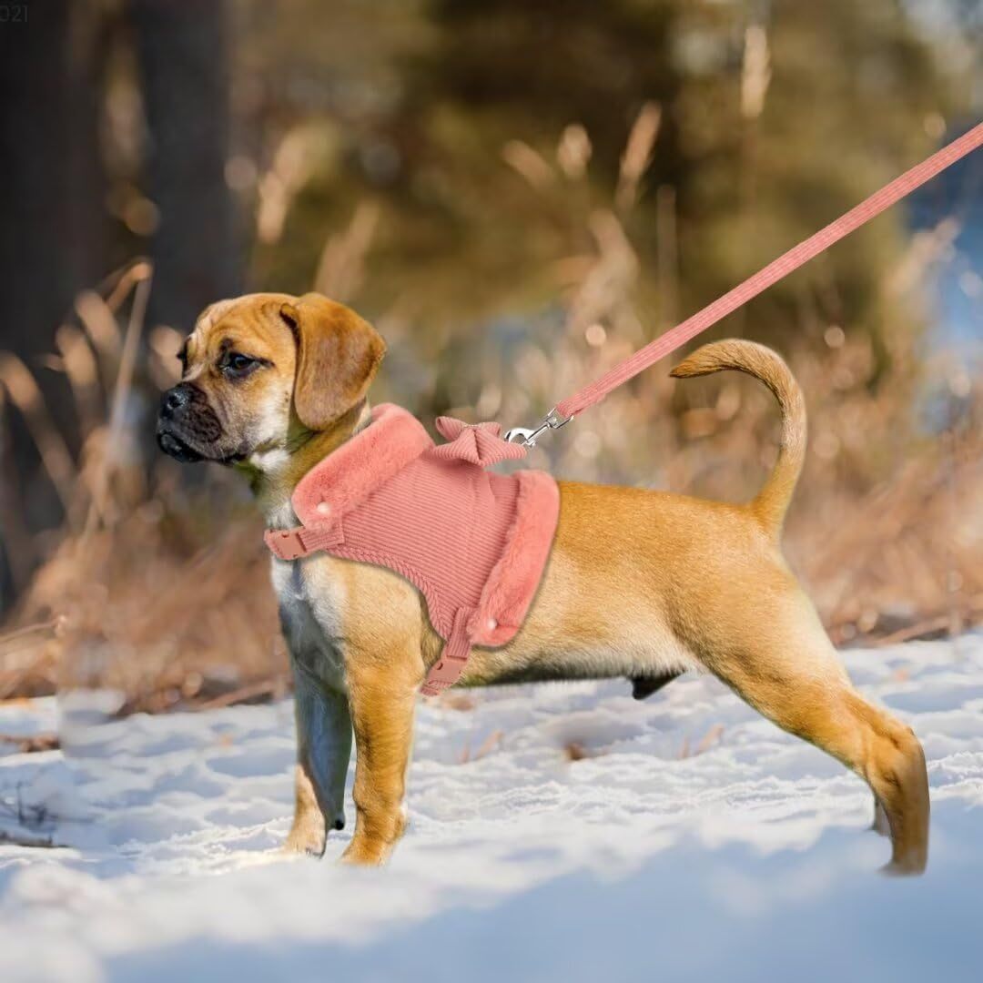 Adorable Puppy Harness & Leash with Bow Tie