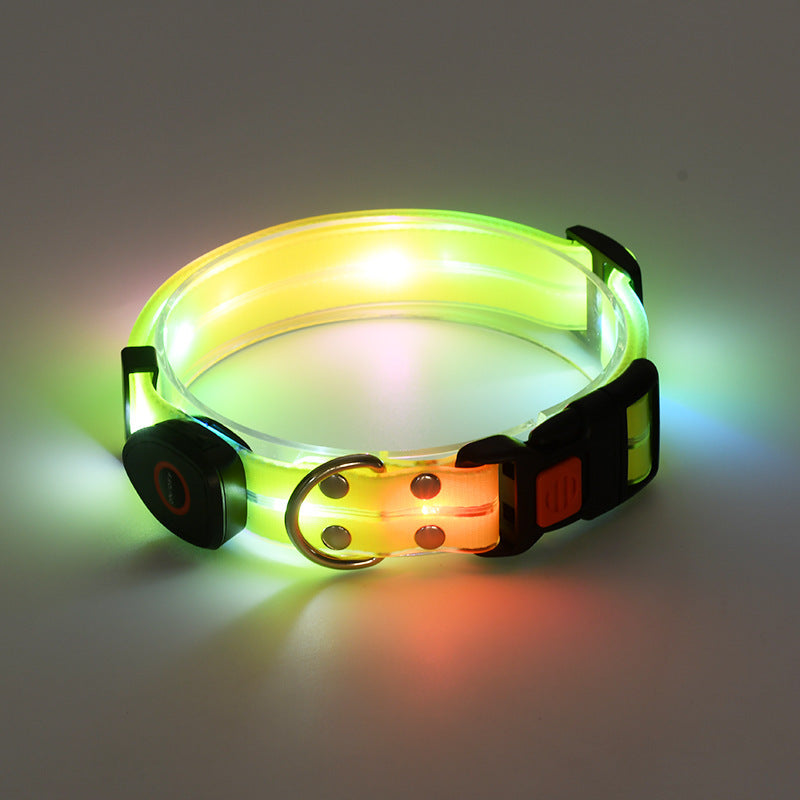 Rechargeable Glow Collar & Leash – Be Seen Anywhere