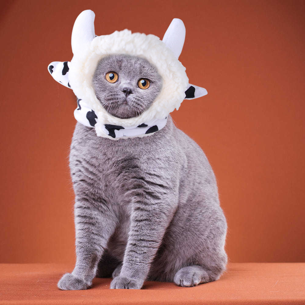 Funny Pet Hat – Adorable Dress-Up for Cats & Dogs