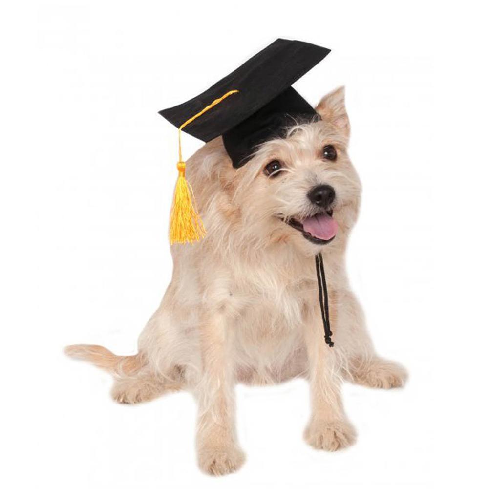 Graduation Pet Hat – Celebrate Your Smart Pup