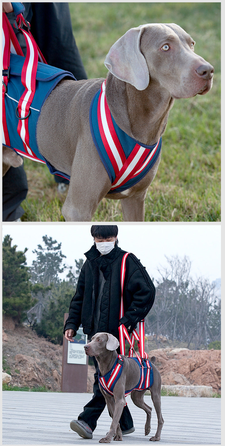 Supportive Dog Harness – Gentle Help for Senior Pups