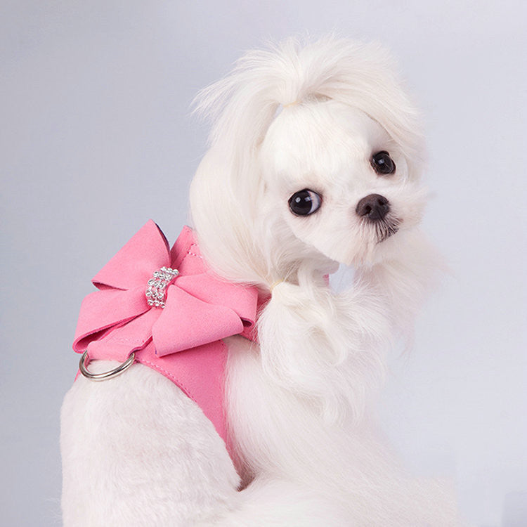 Comfortable and Chic Harness for Fashion-Forward Pups