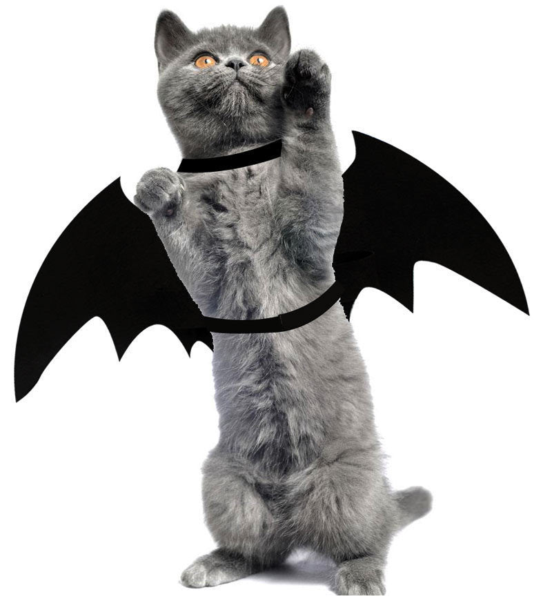 Spooky Bat Wings – Halloween Costume for Cats & Dogs