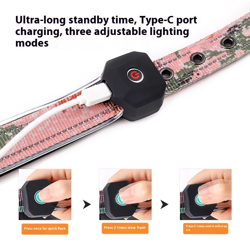 USB Charging Dog Collar – Shine All Night Long