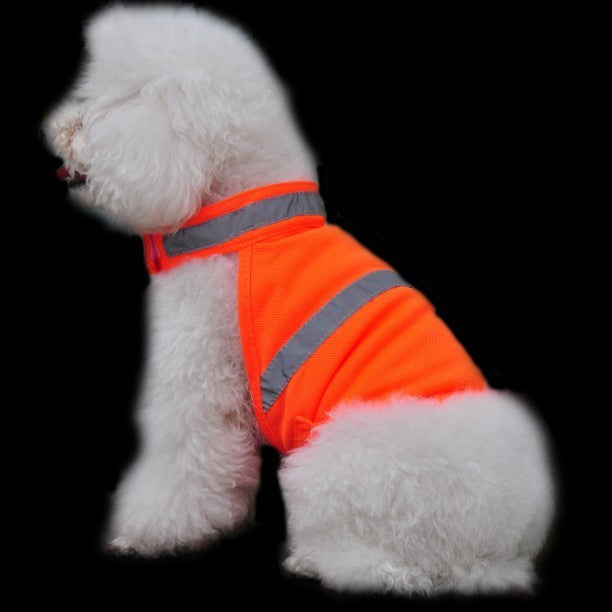 Bright & Safe Fluorescent Dog Vest