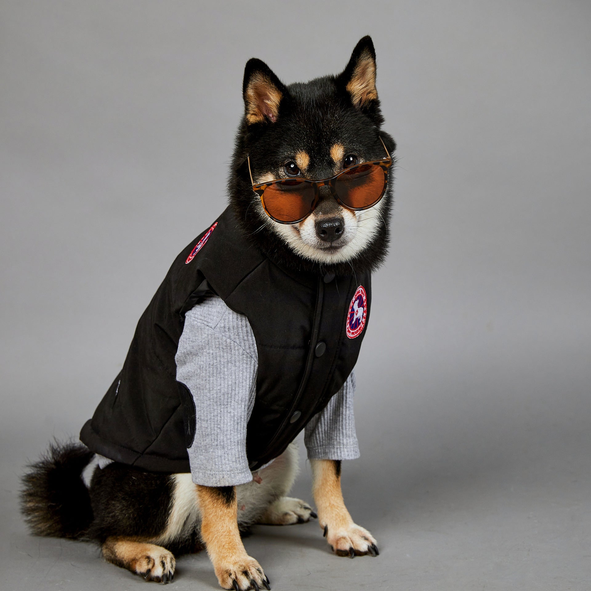 Warm Winter Coat for Large Dogs