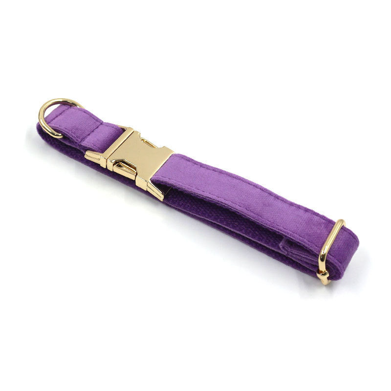 Velvet Dog Collar – Elegant, Comfy & Walk-Ready Style