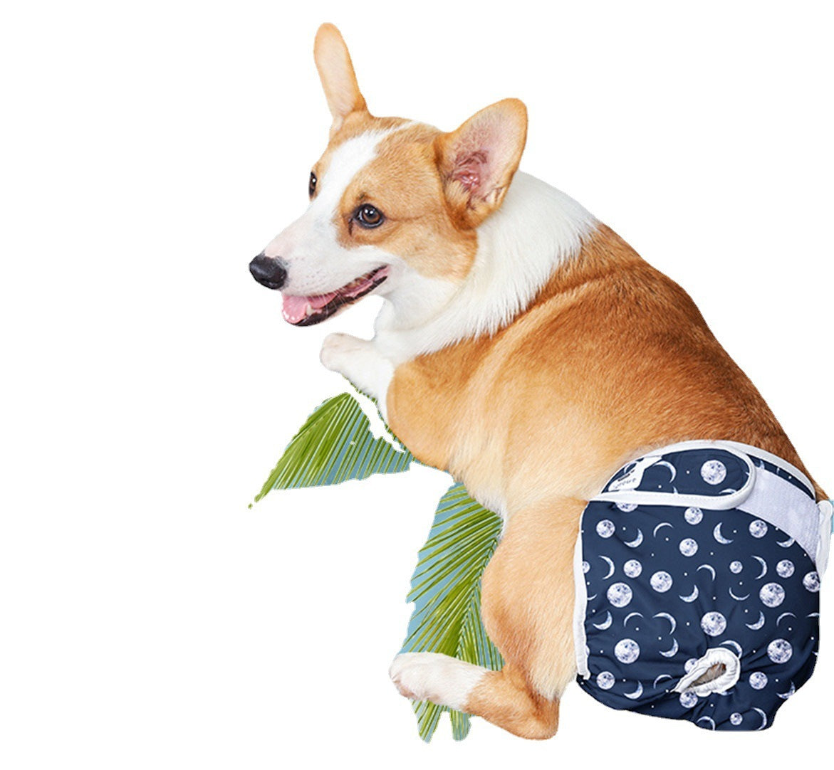 Eco-Friendly Washable Dog Diaper Pants – Comfy & Reusable