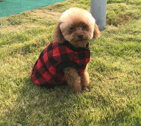 SnuggleFit Hooded Vest for Dogs