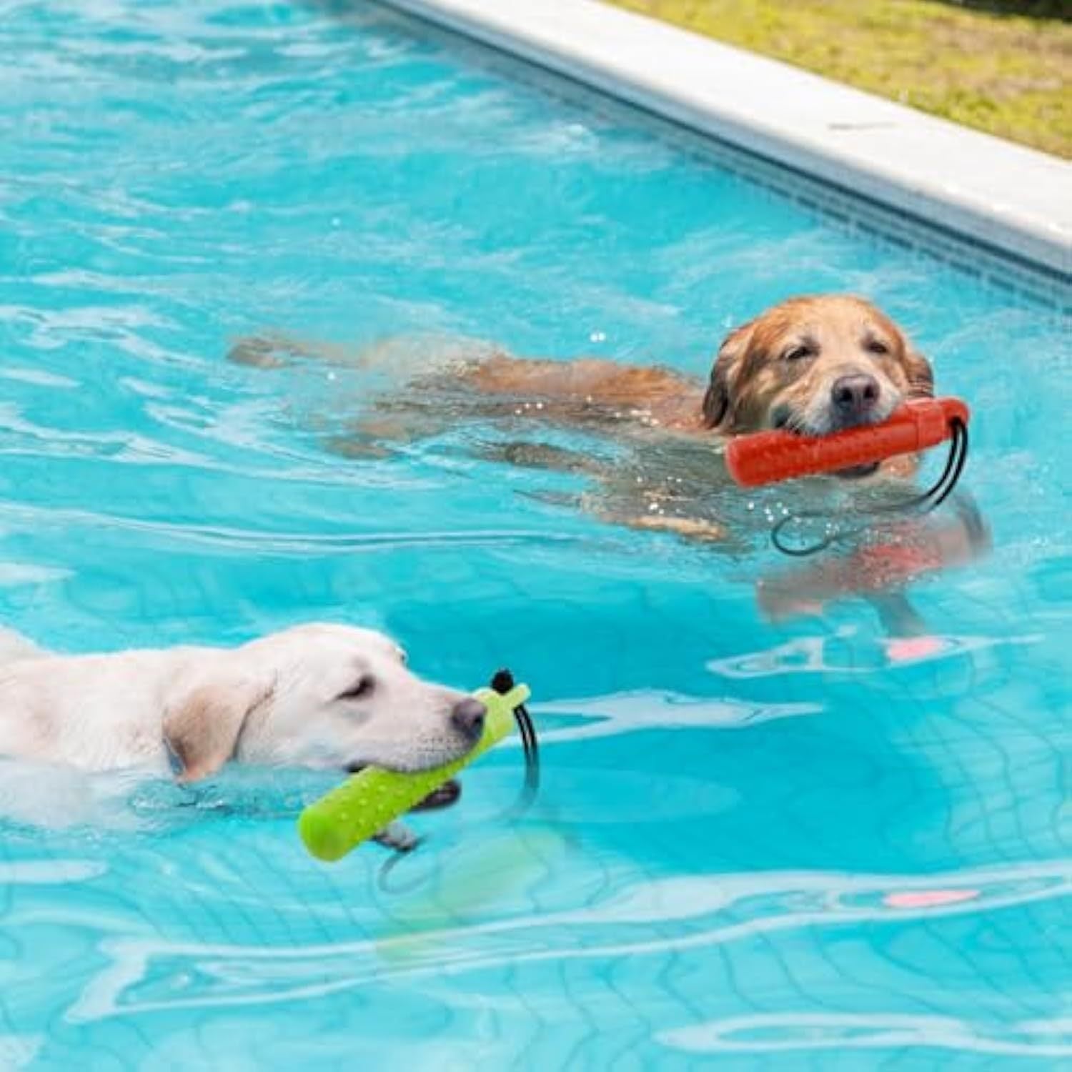 Water Fun Dog Toy – Float, Fetch, Train, Repeat
