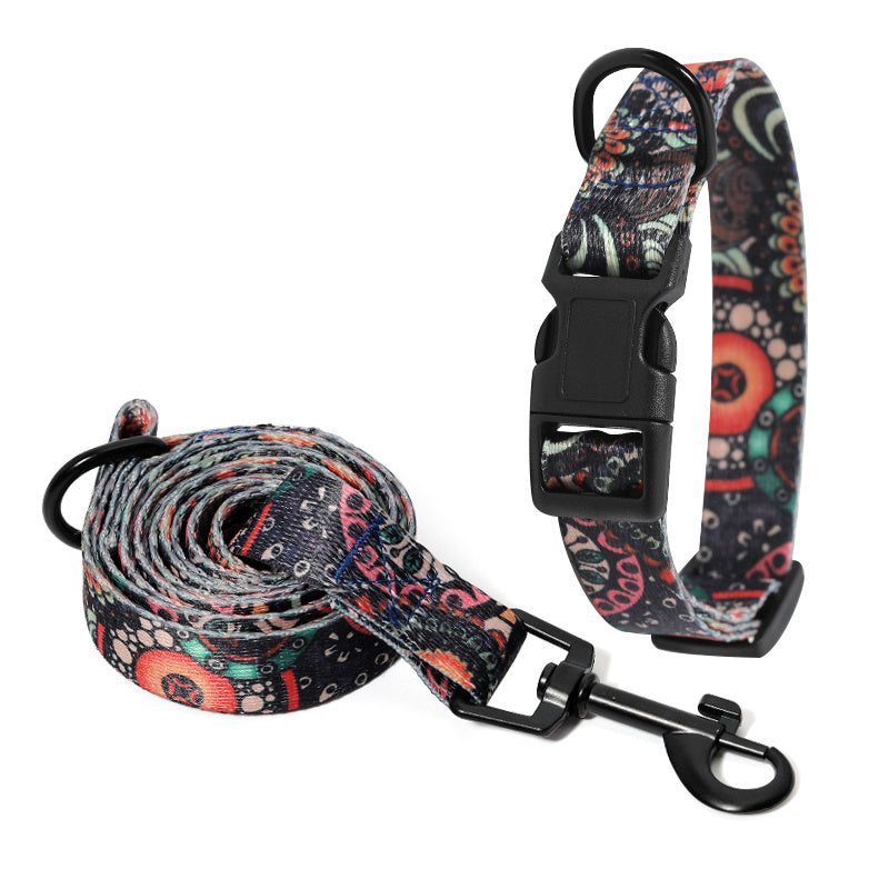 Durable Dog Collar & Leash – Walk in Style