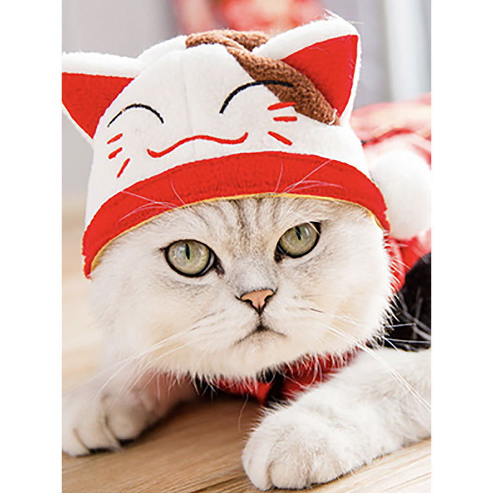 Funny Pet Hat – Adorable Dress-Up for Cats & Dogs
