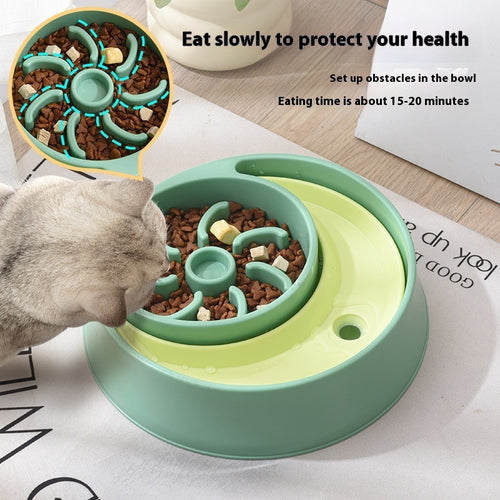 2-in-1 Cat Bowl for Food & Water