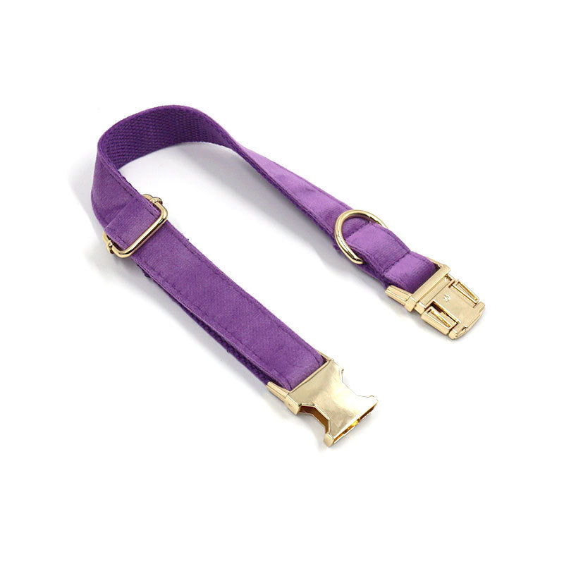 Velvet Dog Collar – Elegant, Comfy & Walk-Ready Style