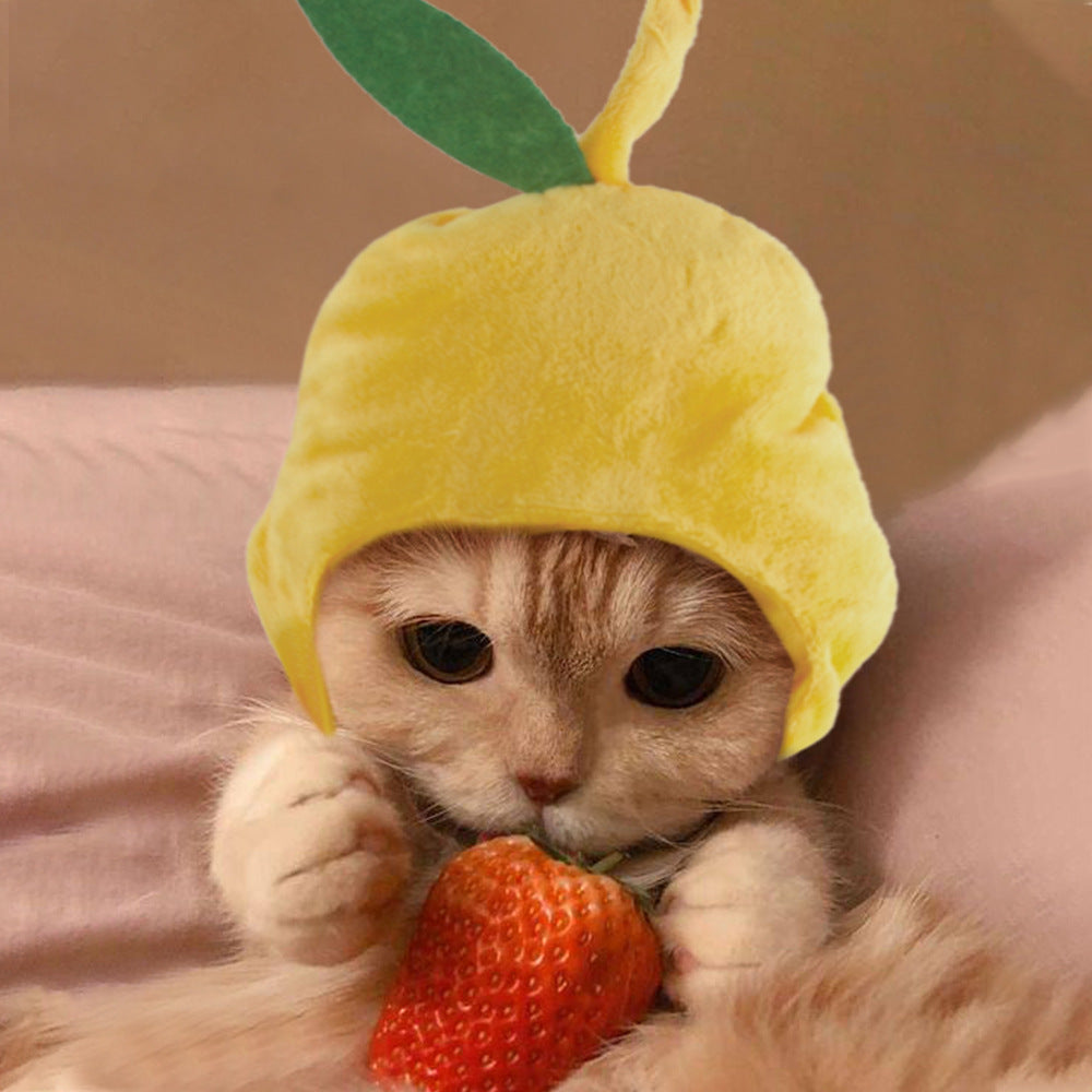 Funny Pet Hat – Adorable Dress-Up for Cats & Dogs
