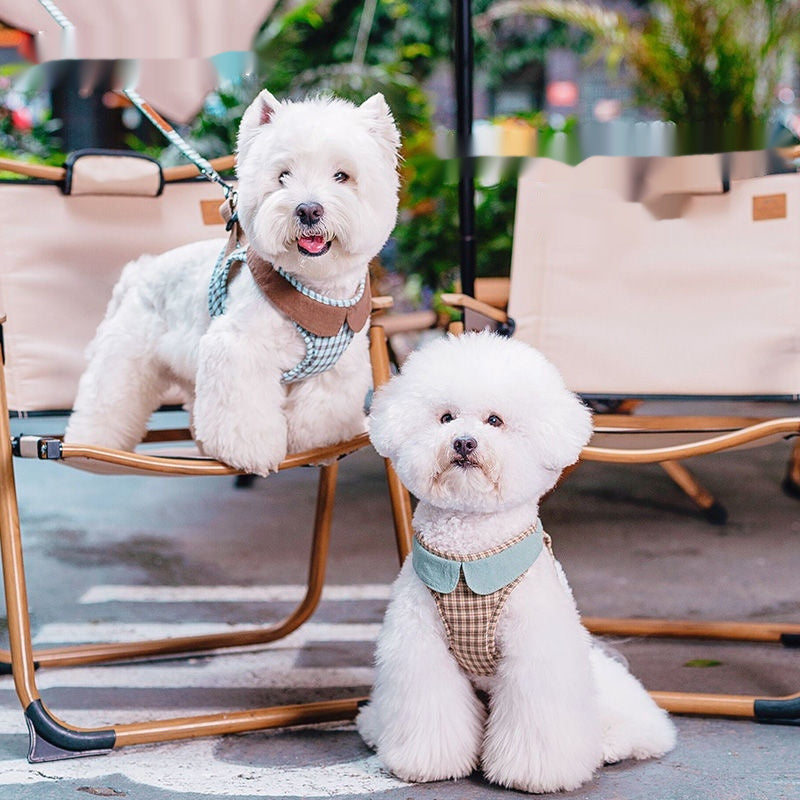 Chic Small Dog Vest Harness