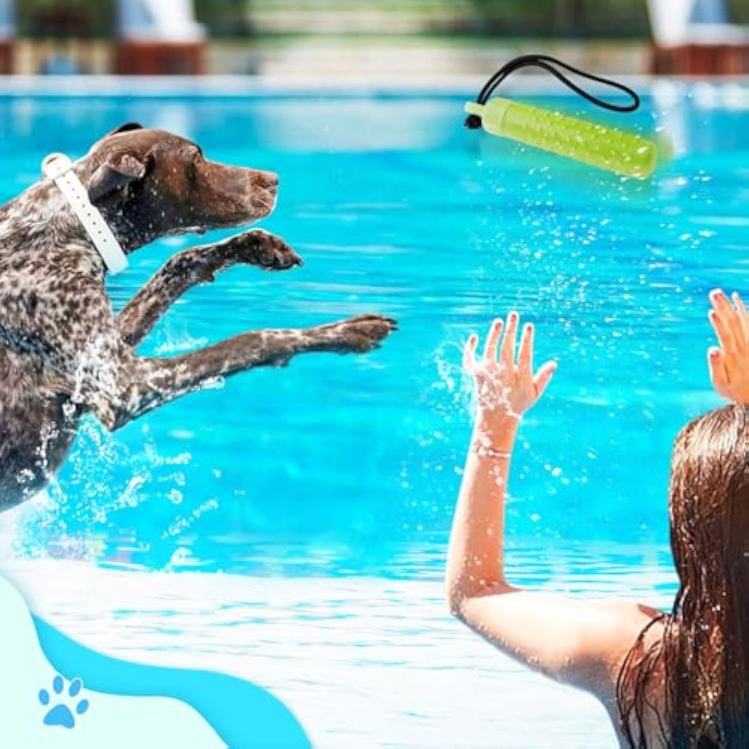 Water Fun Dog Toy – Float, Fetch, Train, Repeat
