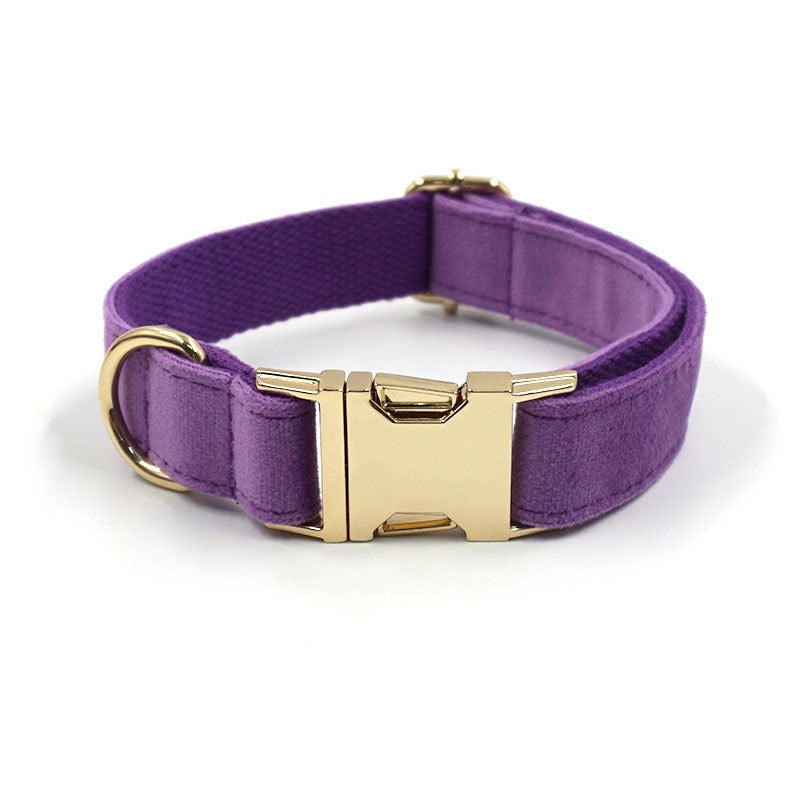 Velvet Dog Collar – Elegant, Comfy & Walk-Ready Style