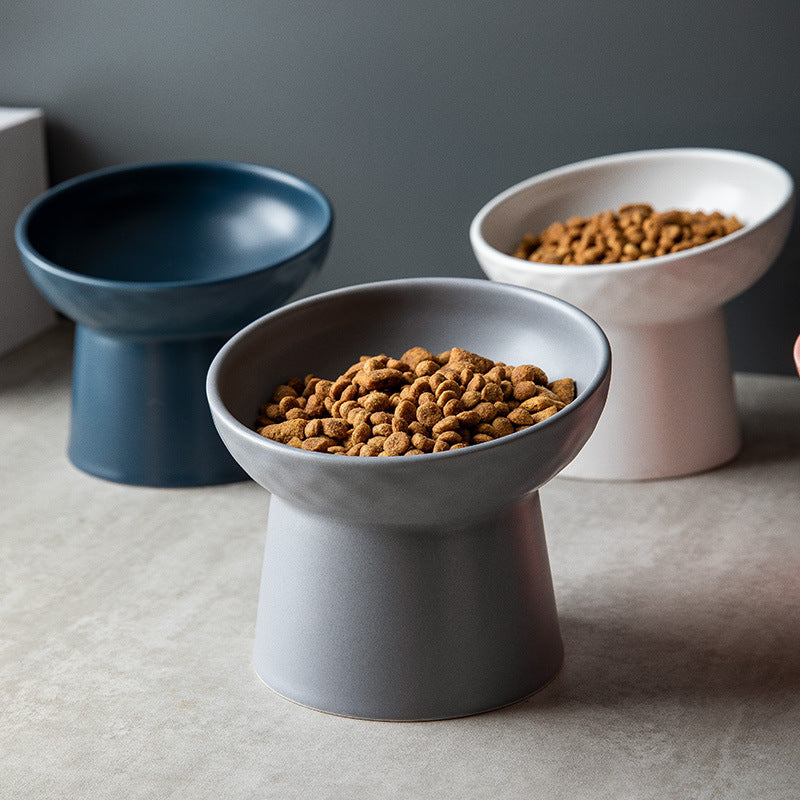 Stylish Slant Cat Bowl – Cute &amp; Comfortable Dining