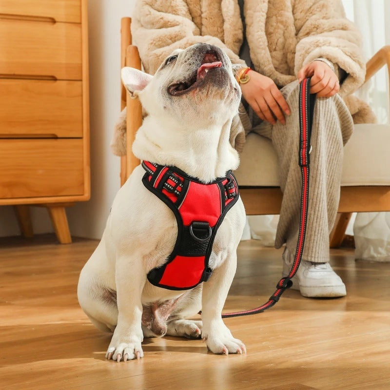 Durable, Gentle Anti-Pull Vest for Safer Dog Walks