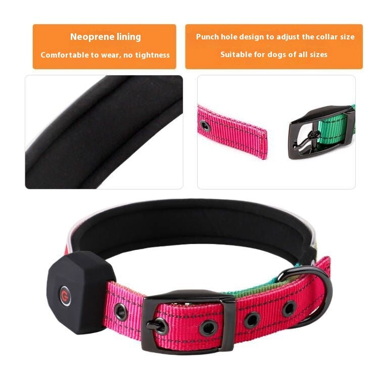 USB Charging Dog Collar – Shine All Night Long