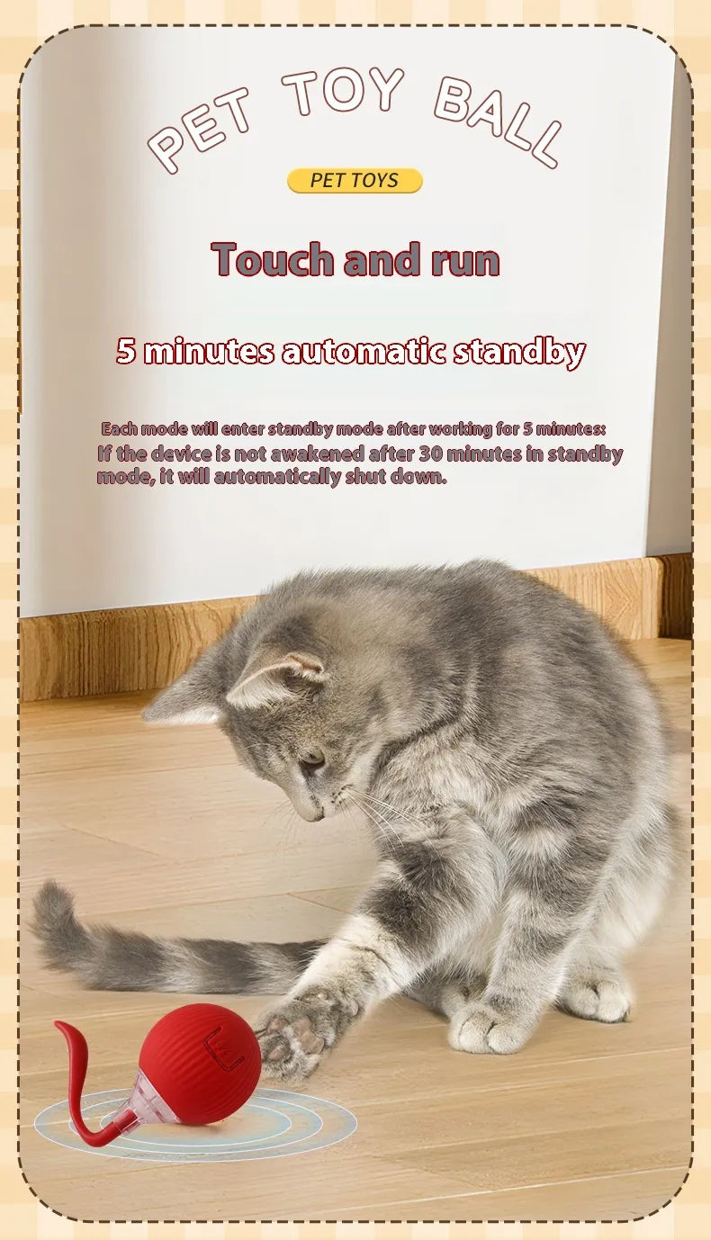 Interactive Cat Ball – Nonstop Fun & Paws in Motion