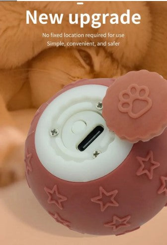 Rechargeable Smart Ball Toy – Active Cats, Happy Life