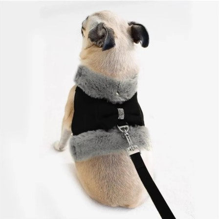 Adorable Puppy Harness & Leash with Bow Tie