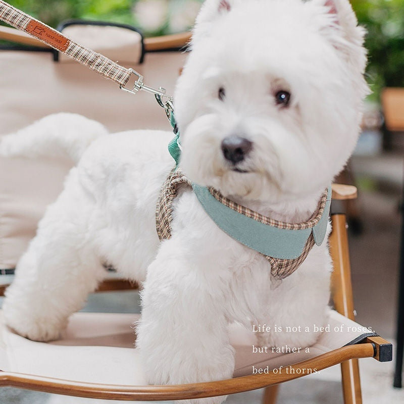 Chic Small Dog Vest Harness