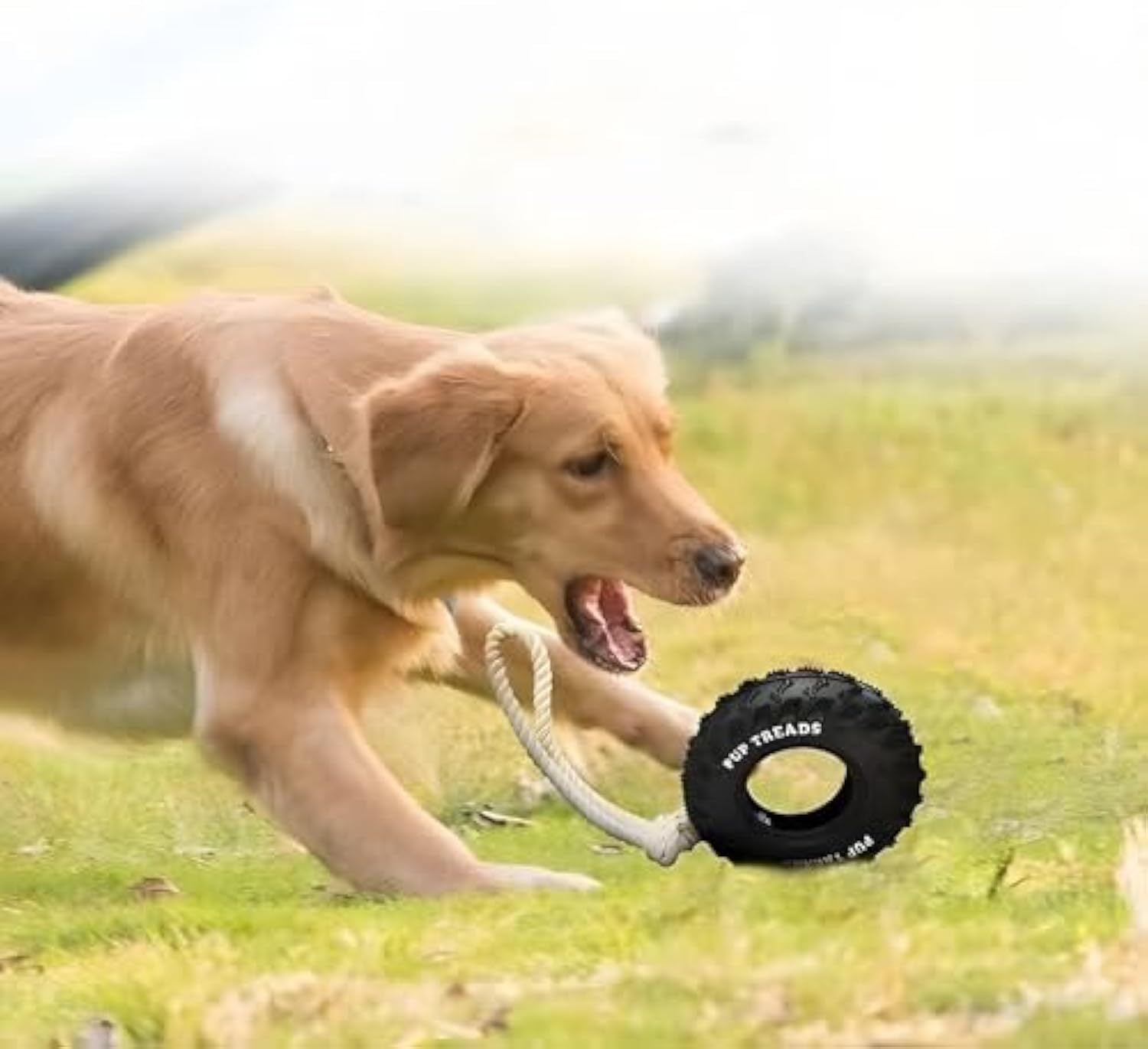 Heavy-Duty Dog Toy