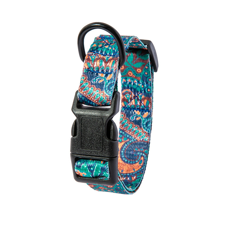 Durable Dog Collar & Leash – Walk in Style