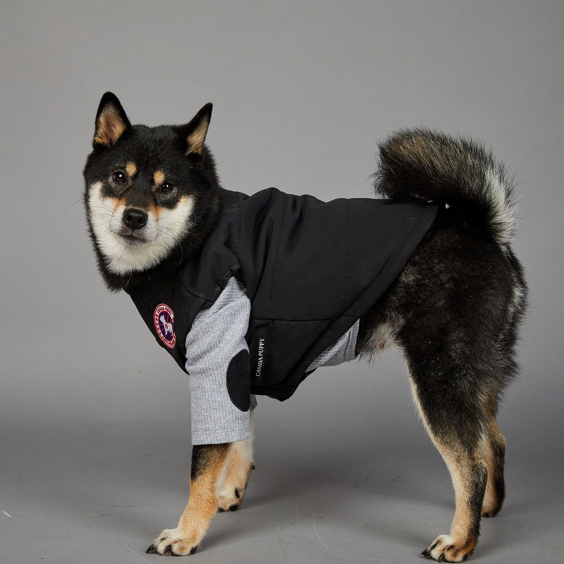 Warm Winter Coat for Large Dogs