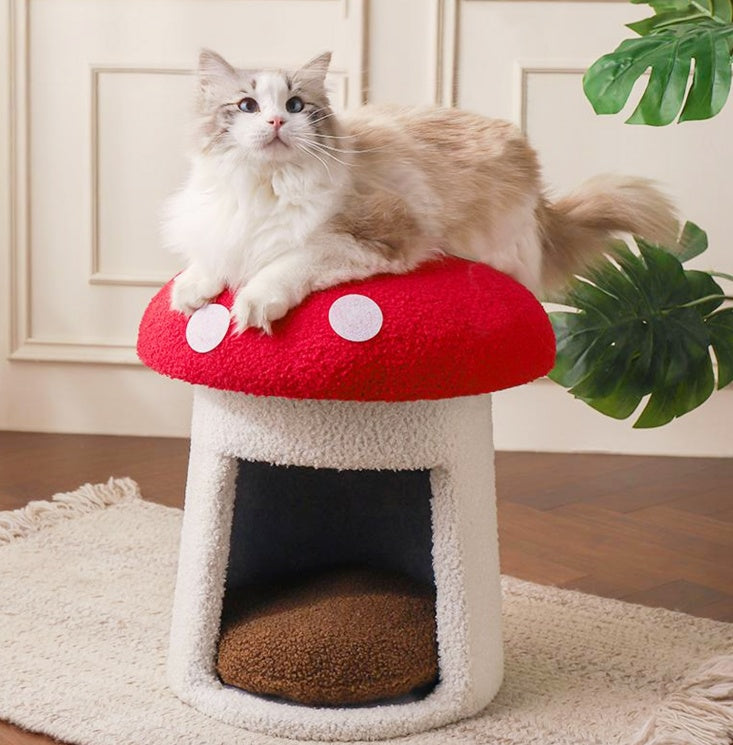 Adorable panier pour chat en forme de champignon rouge, lavable et durable