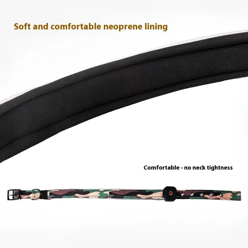 USB Charging Dog Collar – Shine All Night Long