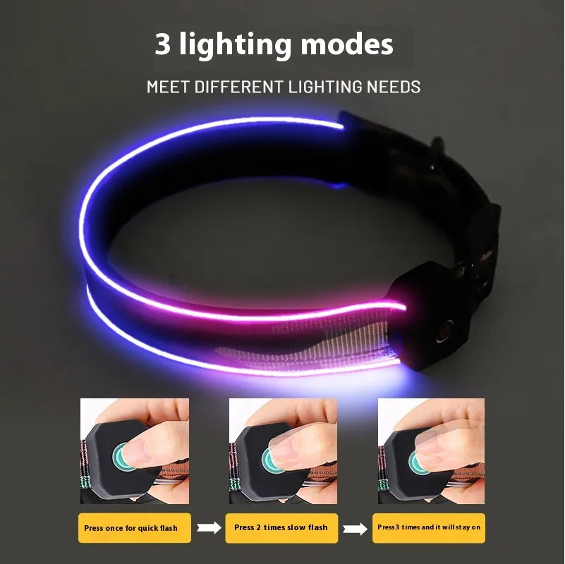 USB Charging Dog Collar – Shine All Night Long