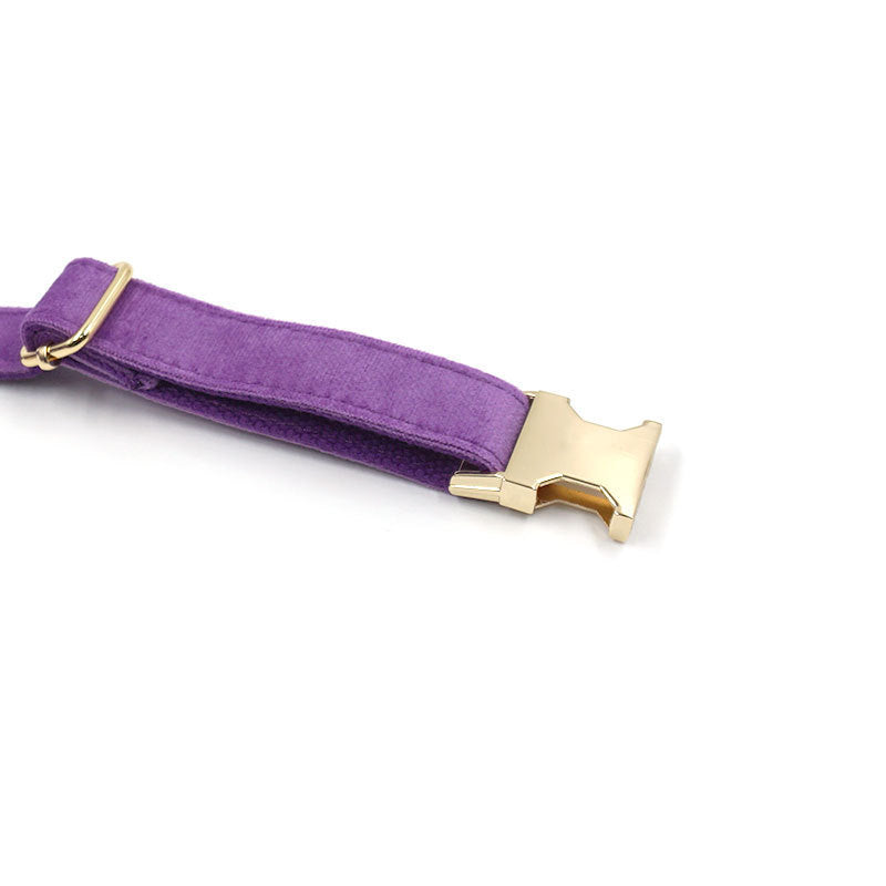Velvet Dog Collar – Elegant, Comfy & Walk-Ready Style