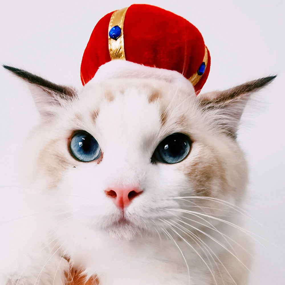 Funny Pet Hat – Adorable Dress-Up for Cats & Dogs