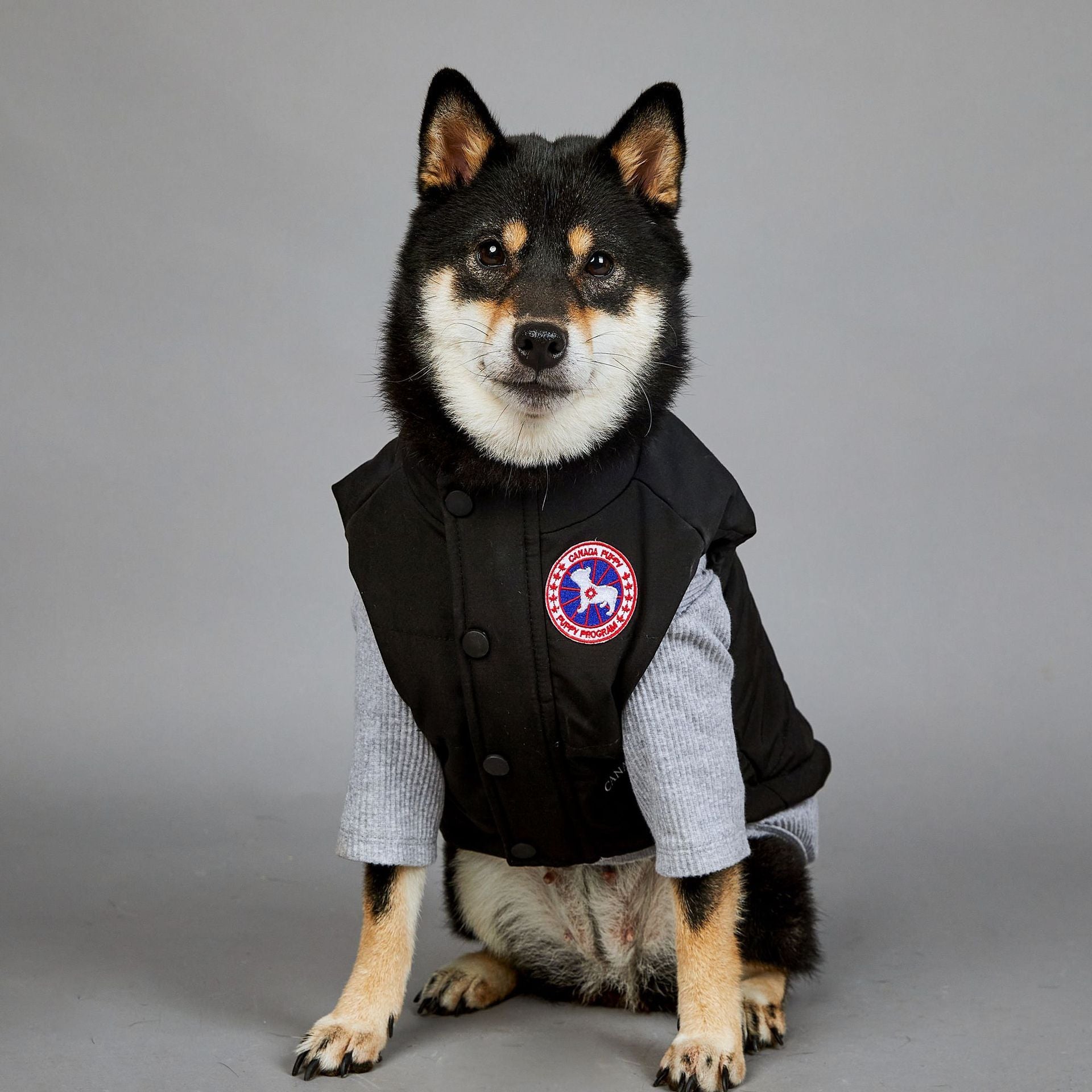 Warm Winter Coat for Large Dogs