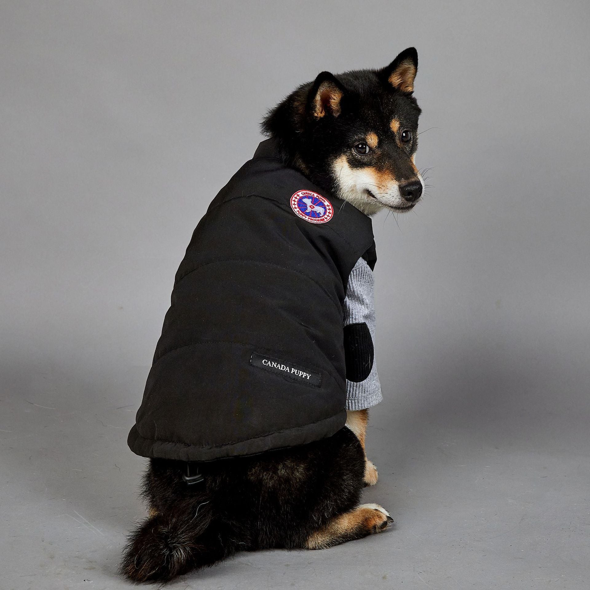 Warm Winter Coat for Large Dogs