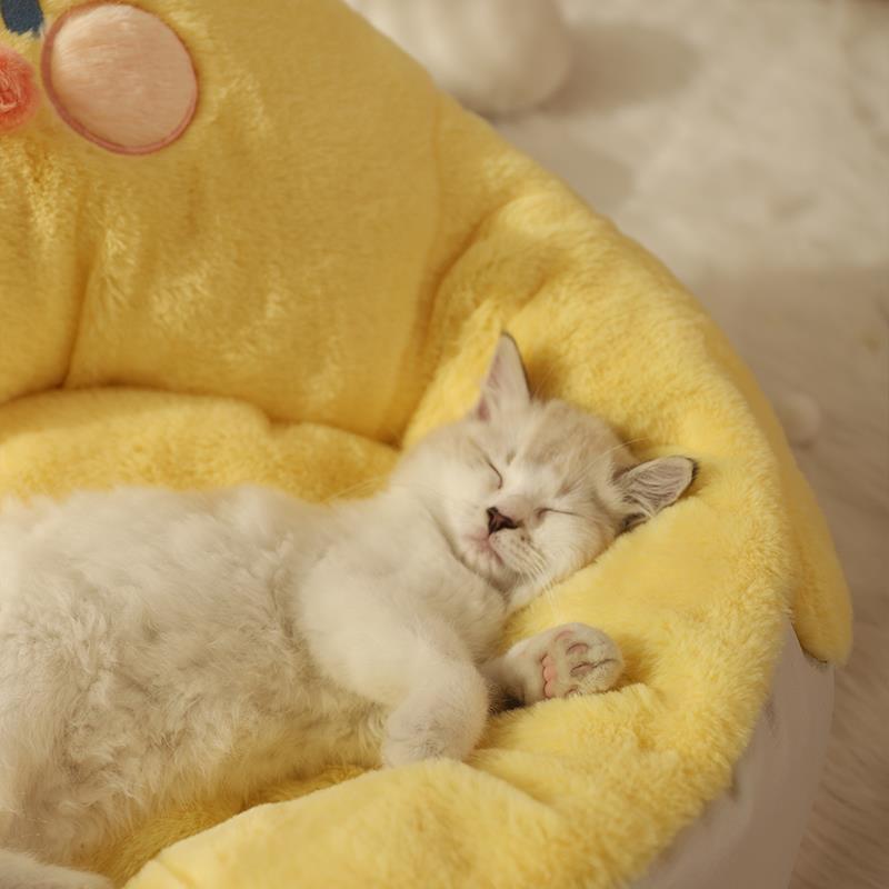 Semi-Closed Cat Nest – Snug Retreat Year-Round