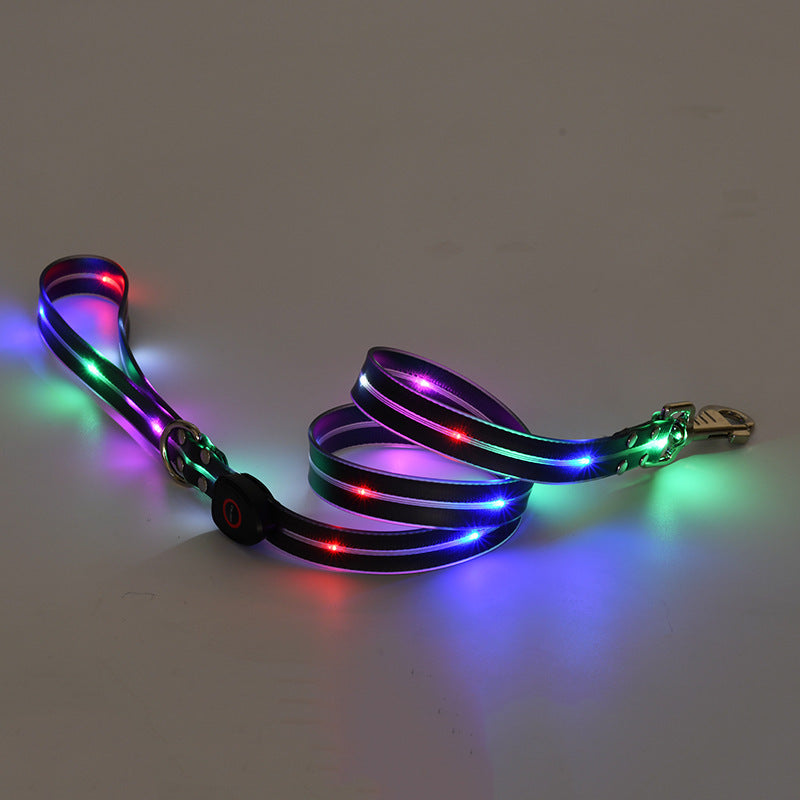 Rechargeable Glow Collar & Leash – Be Seen Anywhere