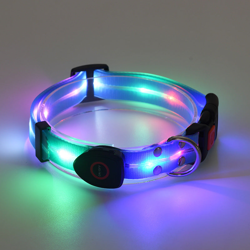 Rechargeable Glow Collar & Leash – Be Seen Anywhere