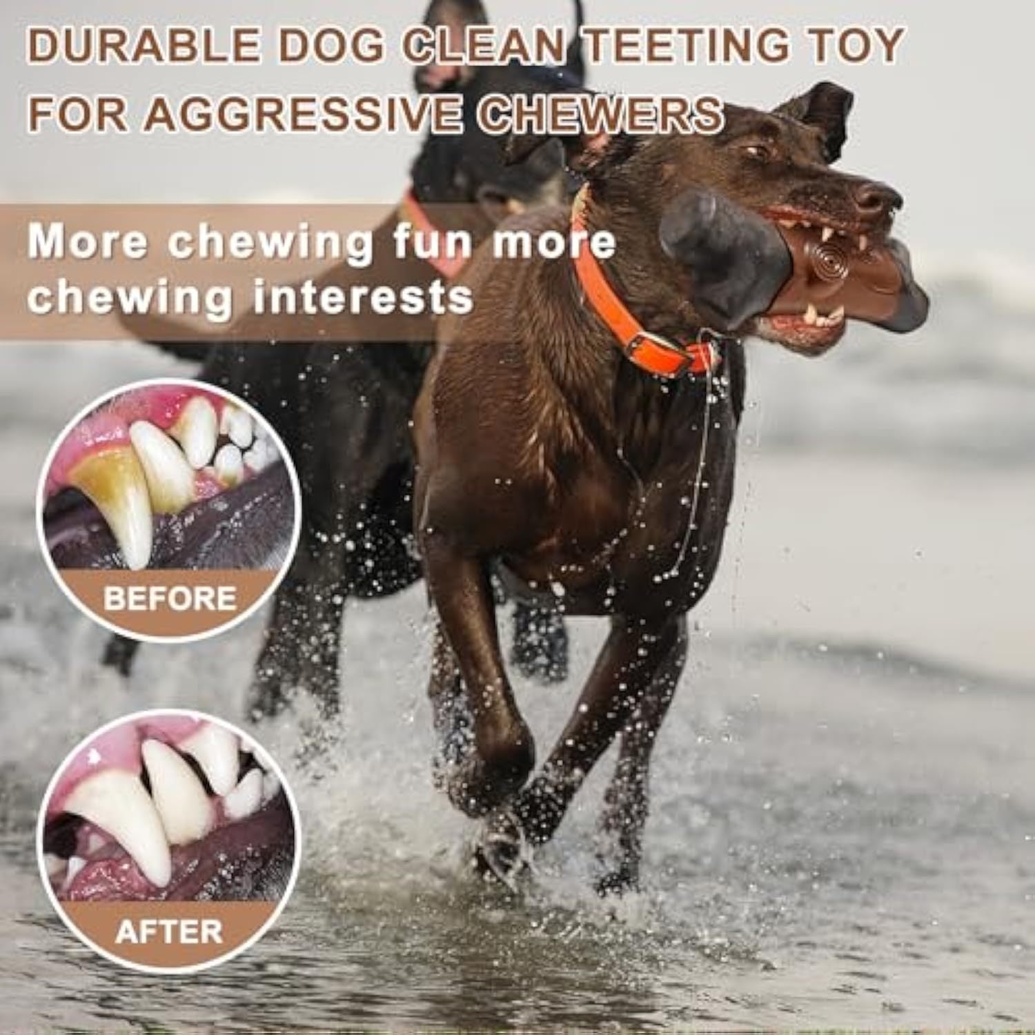 Indestructible Dog Chew Toy – Perfect for Big Strong Pups