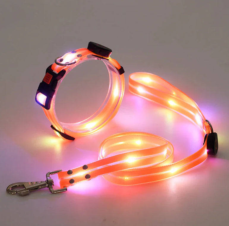 Rechargeable Glow Collar & Leash – Be Seen Anywhere