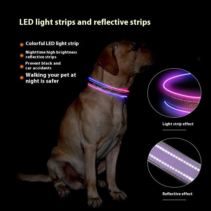 USB Charging Dog Collar – Shine All Night Long
