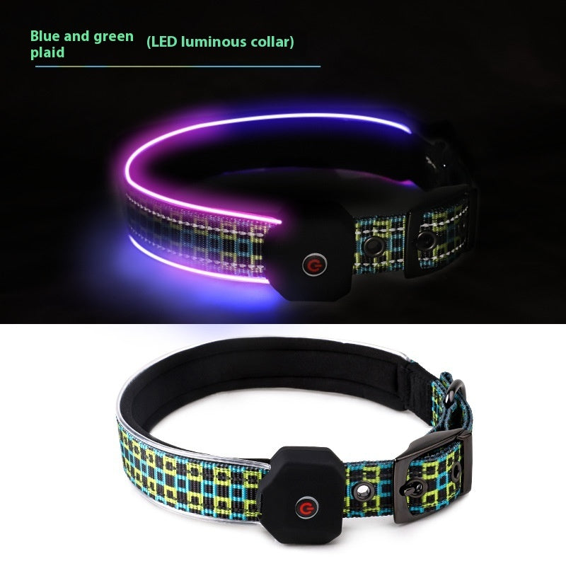 USB Charging Dog Collar – Shine All Night Long
