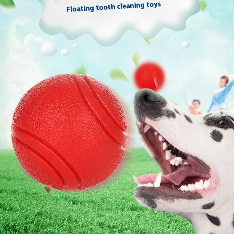 Floating Rubber Dog Ball – Splash, Fetch, and Play Anywhere
