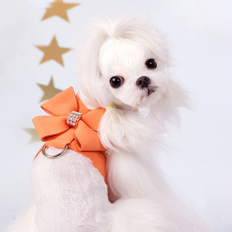 Comfortable and Chic Harness for Fashion-Forward Pups