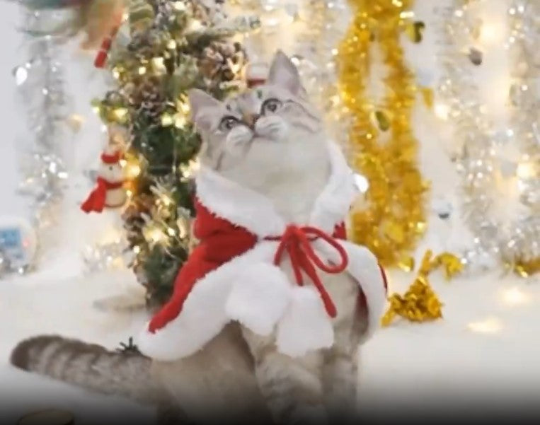 Festive Pet Christmas Cloak