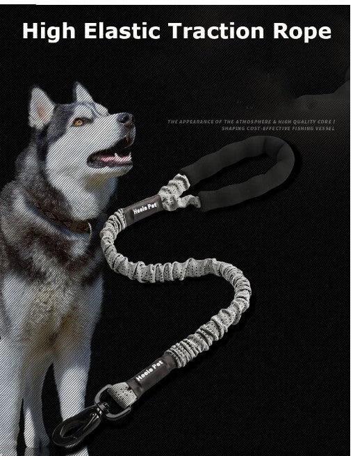Corde élastique de contrôle de traction pour chiots puissants